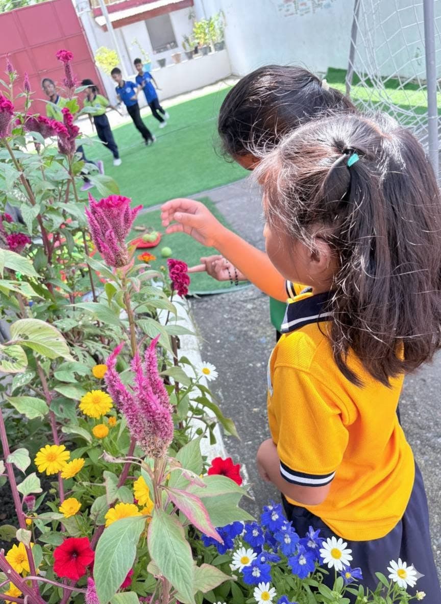 A student looking closely at flowers in the school garden